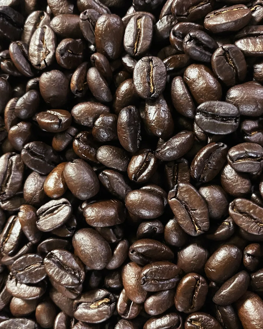 Robusta Temanggung — foto 1