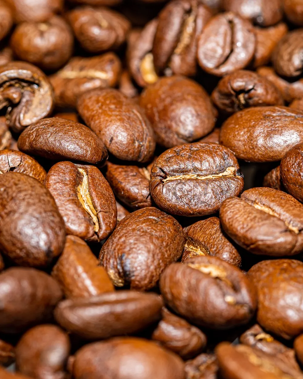 Gayo Atu Lintang — foto 1